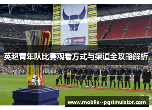英超青年队比赛观看方式与渠道全攻略解析 英超青年队比赛观看方式与渠道全攻略解析