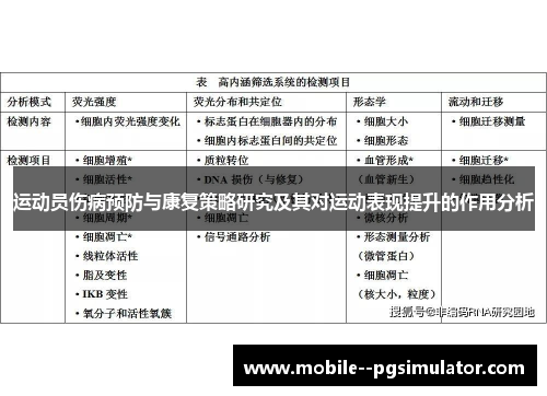 运动员伤病预防与康复策略研究及其对运动表现提升的作用分析 运动员伤病预防与康复策略研究及其对运动表现提升的作用分析