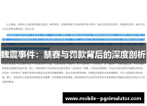 魏震事件：禁赛与罚款背后的深度剖析