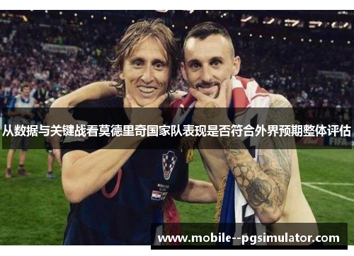 从数据与关键战看莫德里奇国家队表现是否符合外界预期整体评估