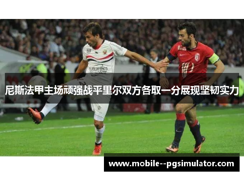 尼斯法甲主场顽强战平里尔双方各取一分展现坚韧实力