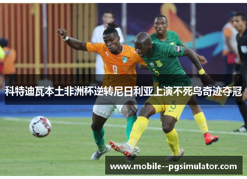 科特迪瓦本土非洲杯逆转尼日利亚上演不死鸟奇迹夺冠