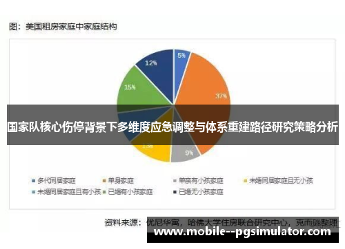 国家队核心伤停背景下多维度应急调整与体系重建路径研究策略分析