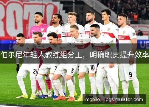 伯尔尼年轻人教练组分工,明确职责提升效率 伯尔尼年轻人教练组分工,明确职责提升效率