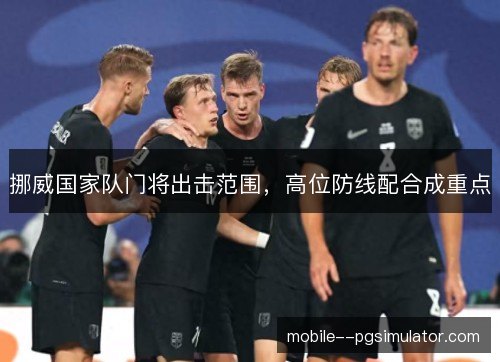 挪威国家队门将出击范围,高位防线配合成重点 挪威国家队门将出击范围,高位防线配合成重点